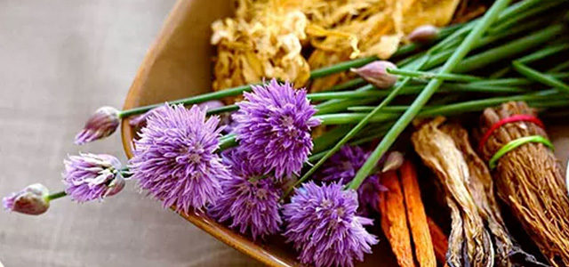 Integrative Holistics