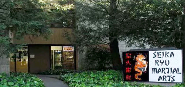 Seika Ryu Novato