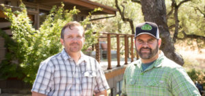 The Land Collaborative