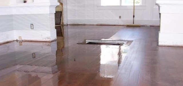 All Phase Hardwood Floors